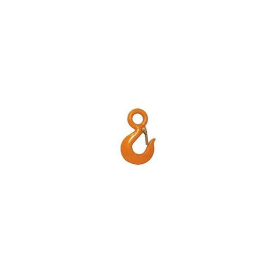 Carbon Eye Hoist Hook w/ Latch